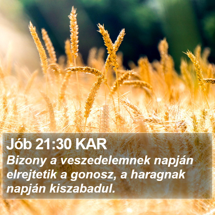 Jób 21:30 KAR Bible Study