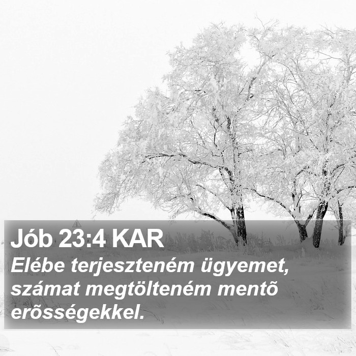 Jób 23:4 KAR Bible Study