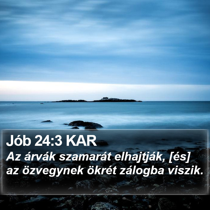 Jób 24:3 KAR Bible Study