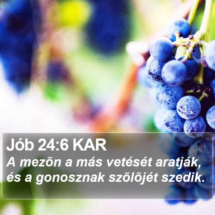 Jób 24:6 KAR Bible Study