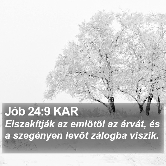 Jób 24:9 KAR Bible Study