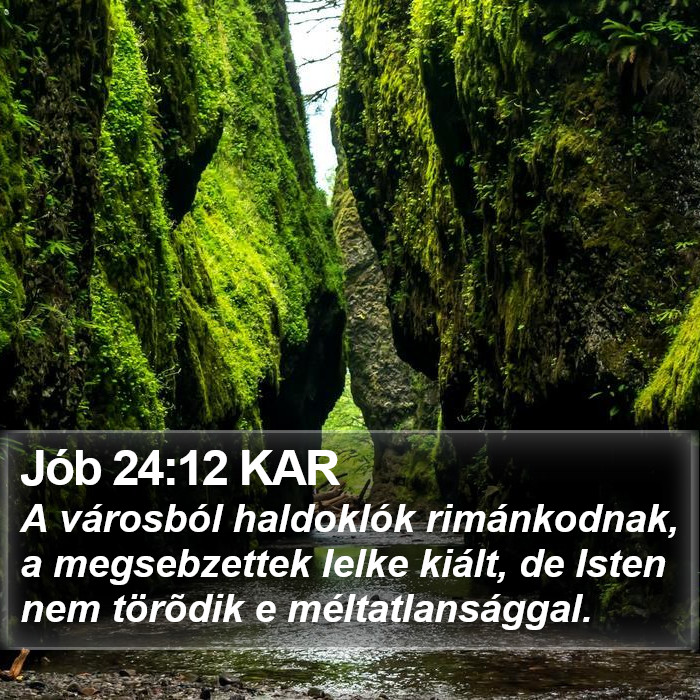 Jób 24:12 KAR Bible Study