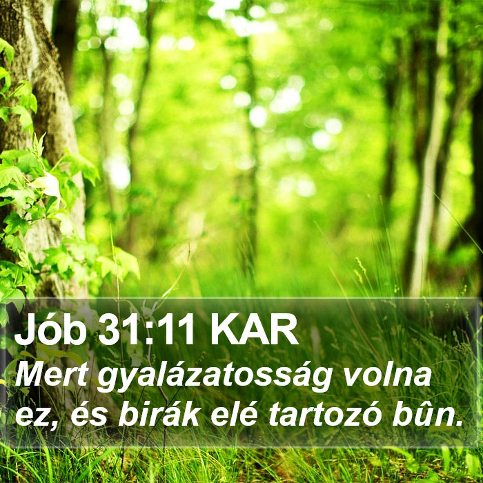 Jób 31:11 KAR Bible Study