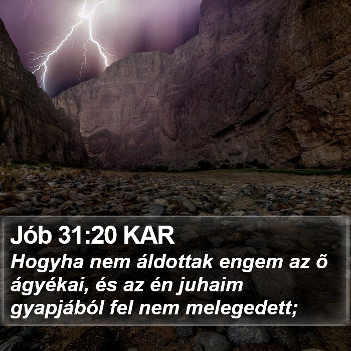 Jób 31:20 KAR Bible Study