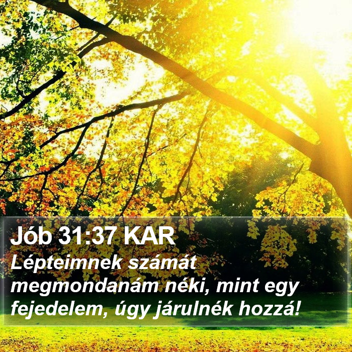 Jób 31:37 KAR Bible Study