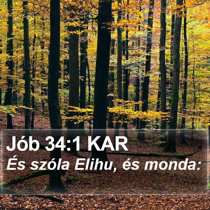 Jób 34:1 KAR Bible Study