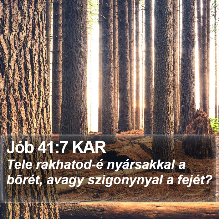 Jób 41:7 KAR Bible Study