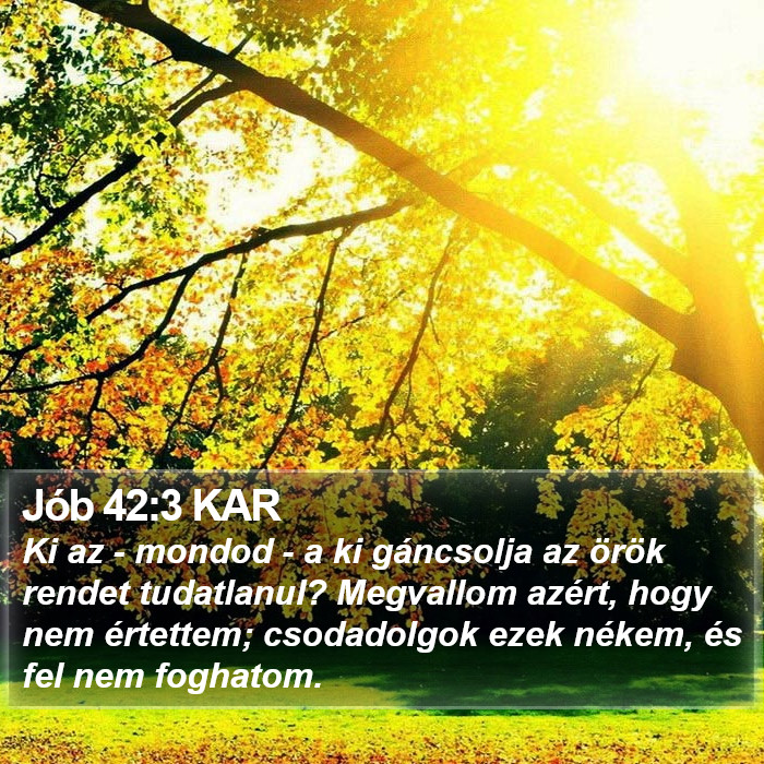 Jób 42:3 KAR Bible Study