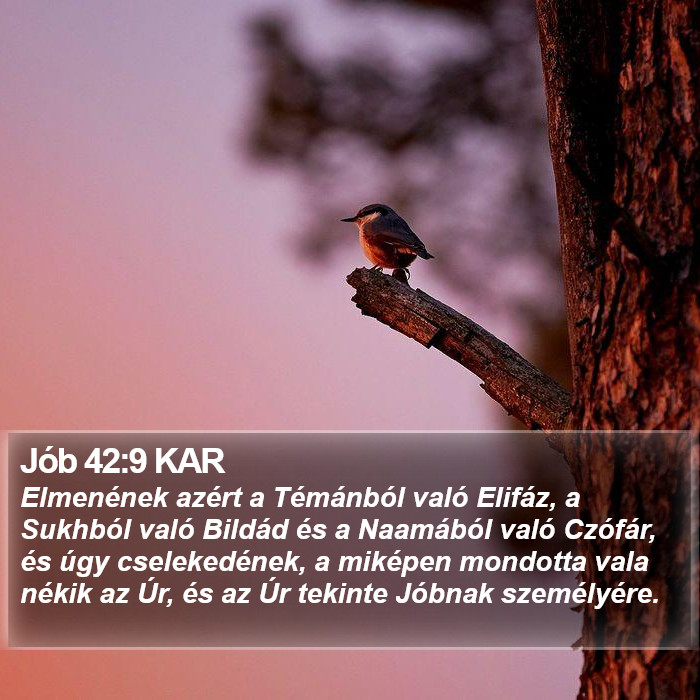 Jób 42:9 KAR Bible Study