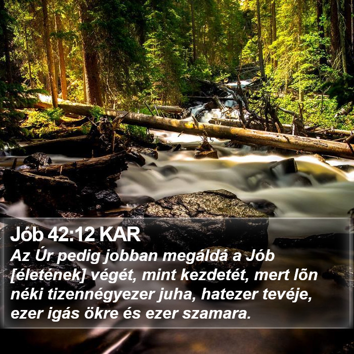 Jób 42:12 KAR Bible Study