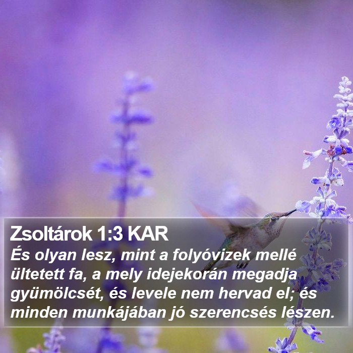 Zsoltárok 1:3 KAR Bible Study