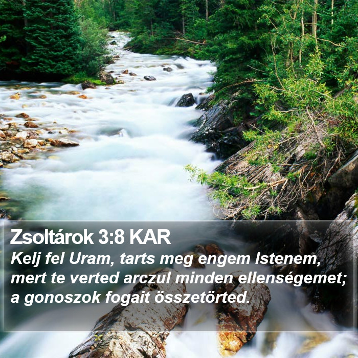 Zsoltárok 3:8 KAR Bible Study