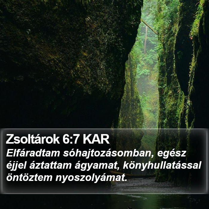 Zsoltárok 6:7 KAR Bible Study