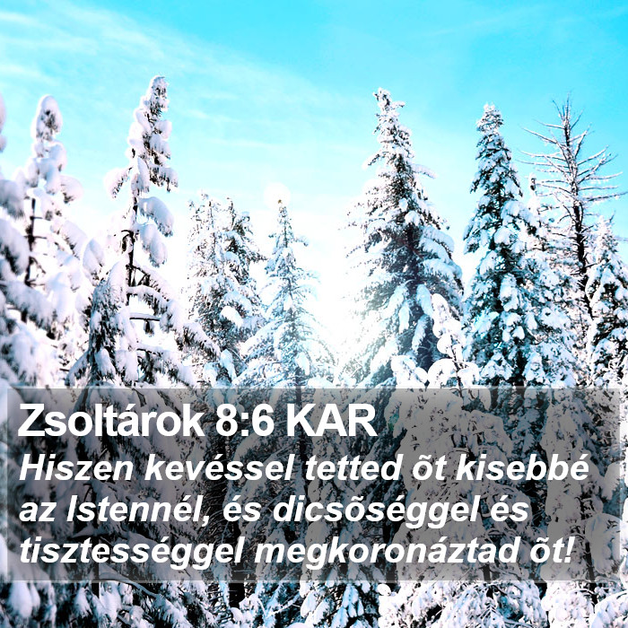 Zsoltárok 8:6 KAR Bible Study