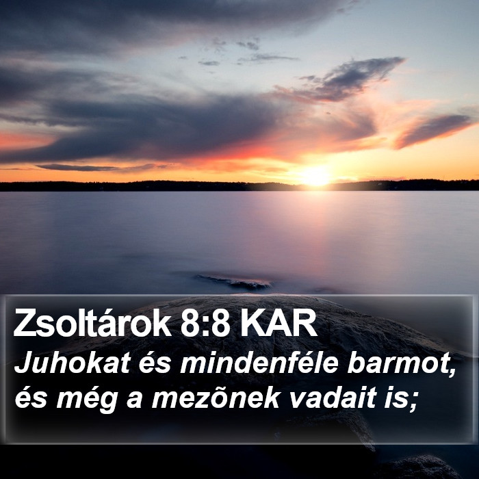 Zsoltárok 8:8 KAR Bible Study