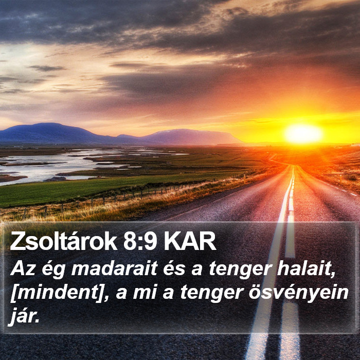 Zsoltárok 8:9 KAR Bible Study