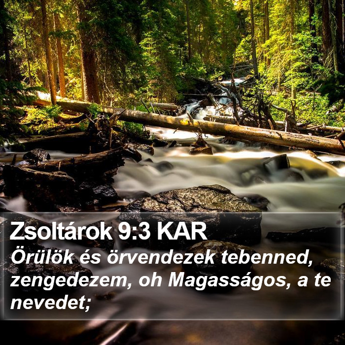 Zsoltárok 9:3 KAR Bible Study