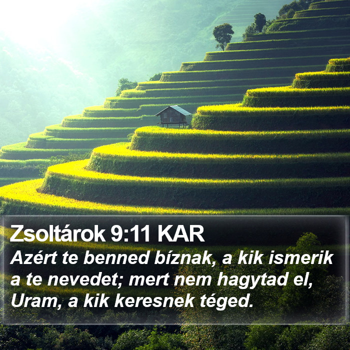 Zsoltárok 9:11 KAR Bible Study