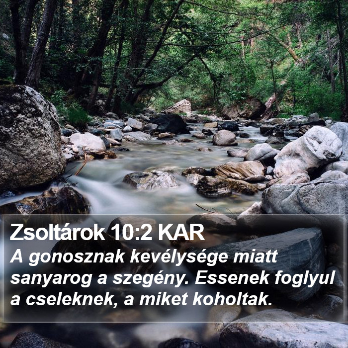 Zsoltárok 10:2 KAR Bible Study