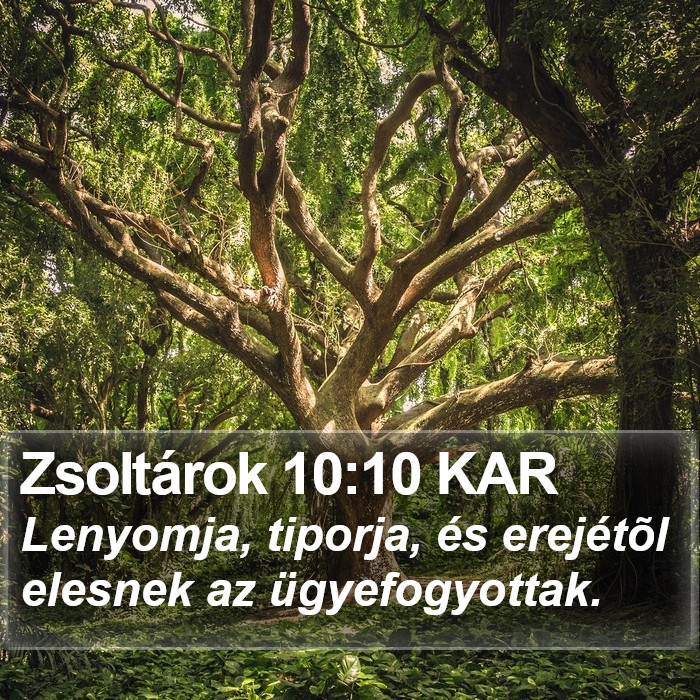 Zsoltárok 10:10 KAR Bible Study