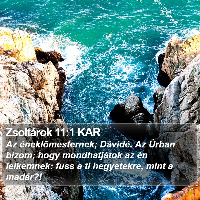 Zsoltárok 11:1 KAR Bible Study