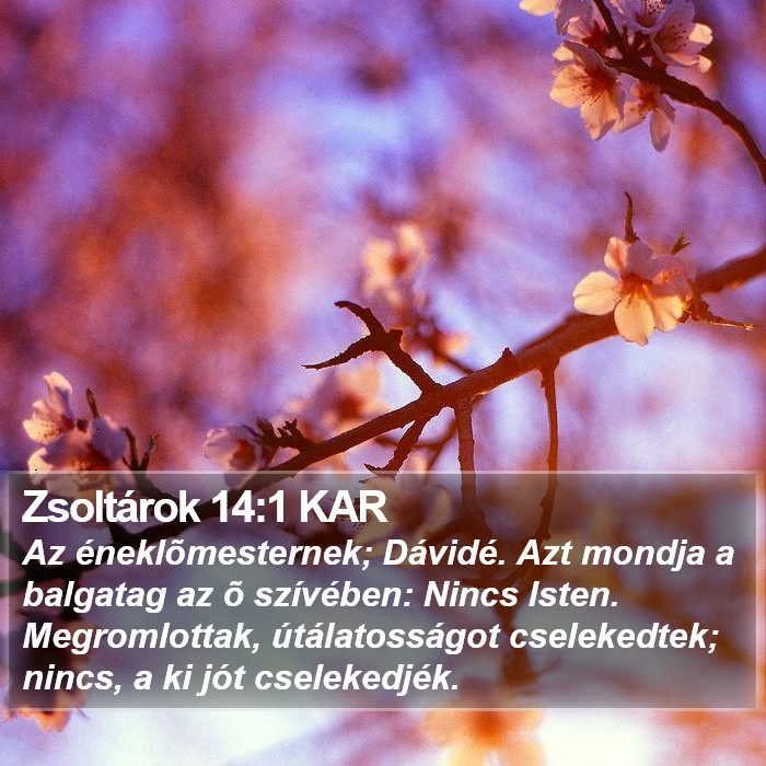 Zsoltárok 14:1 KAR Bible Study