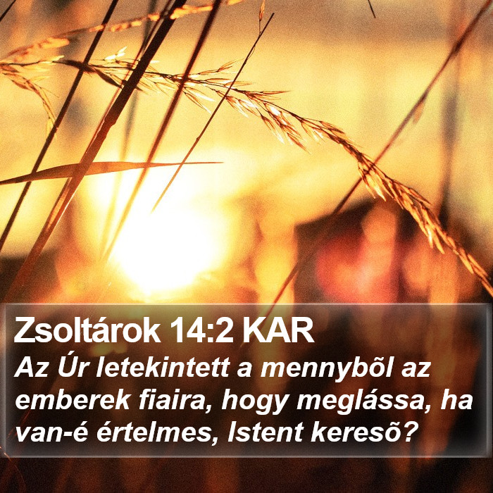 Zsoltárok 14:2 KAR Bible Study