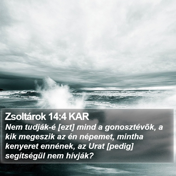 Zsoltárok 14:4 KAR Bible Study