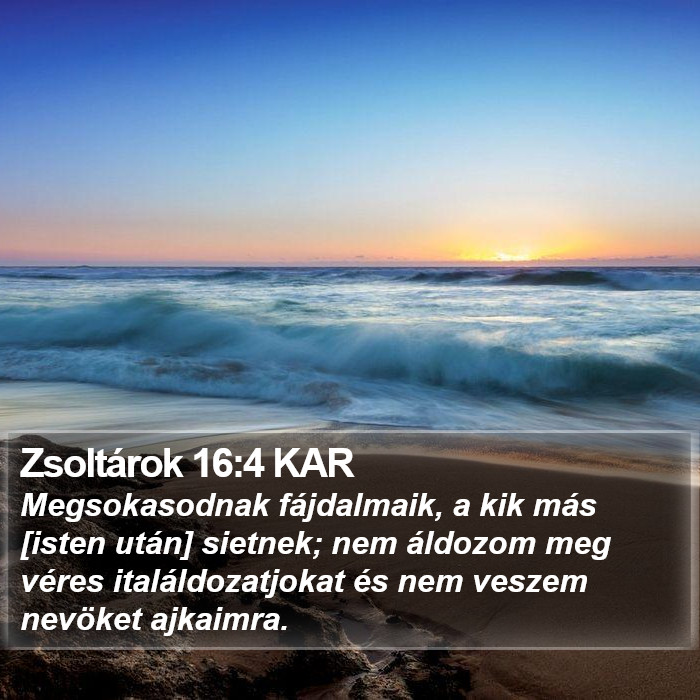 Zsoltárok 16:4 KAR Bible Study