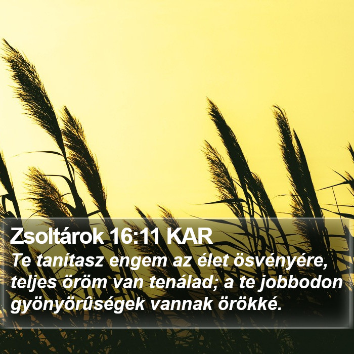 Zsoltárok 16:11 KAR Bible Study