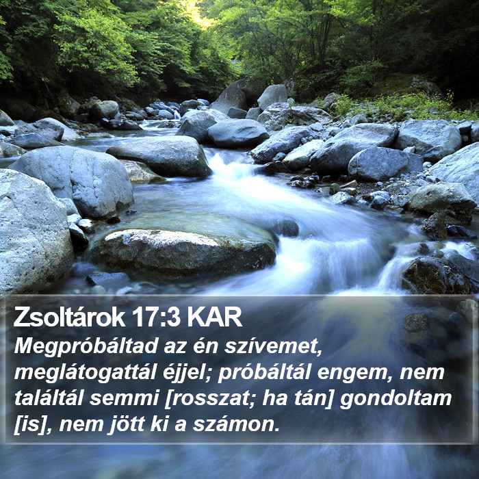 Zsoltárok 17:3 KAR Bible Study