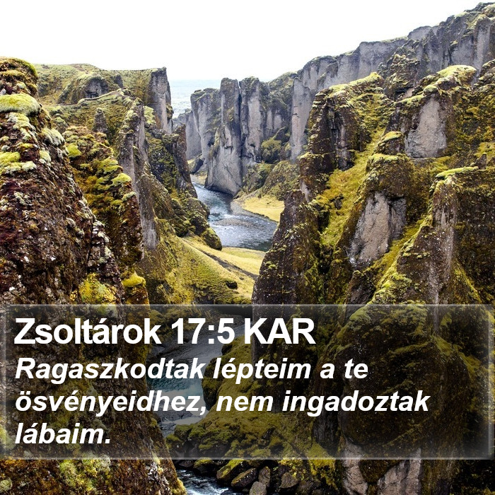 Zsoltárok 17:5 KAR Bible Study