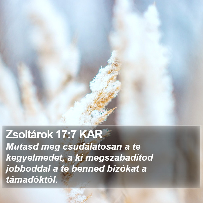 Zsoltárok 17:7 KAR Bible Study