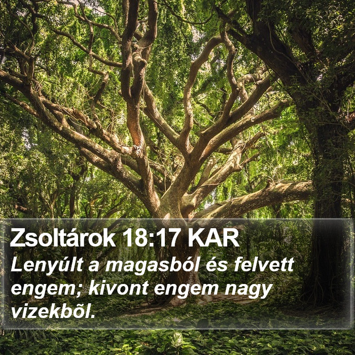 Zsoltárok 18:17 KAR Bible Study