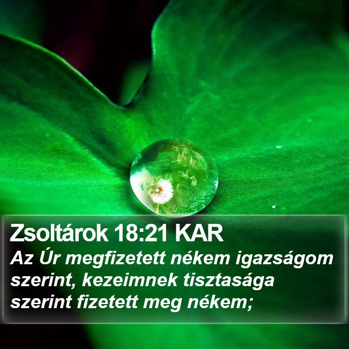 Zsoltárok 18:21 KAR Bible Study