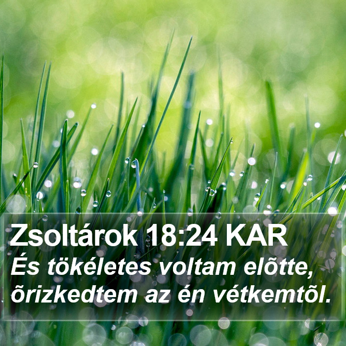 Zsoltárok 18:24 KAR Bible Study