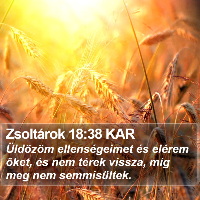 Zsoltárok 18:38 KAR Bible Study