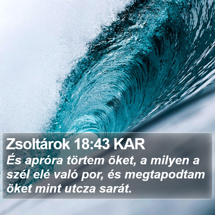 Zsoltárok 18:43 KAR Bible Study