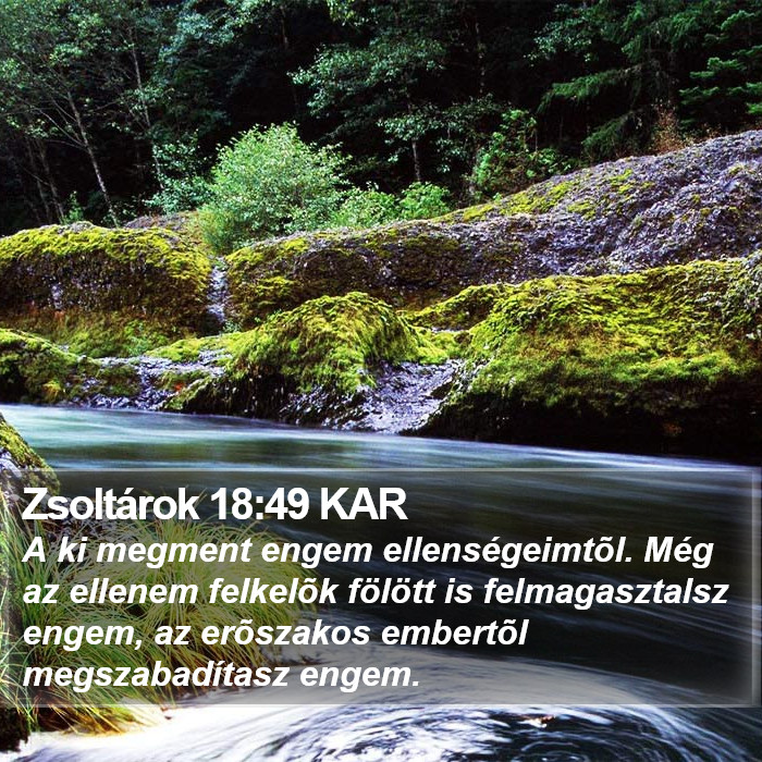 Zsoltárok 18:49 KAR Bible Study