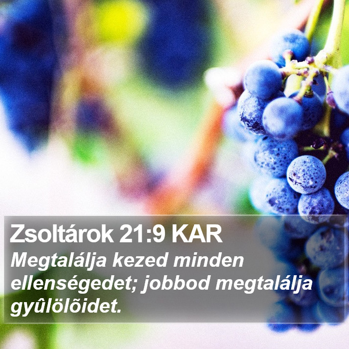 Zsoltárok 21:9 KAR Bible Study