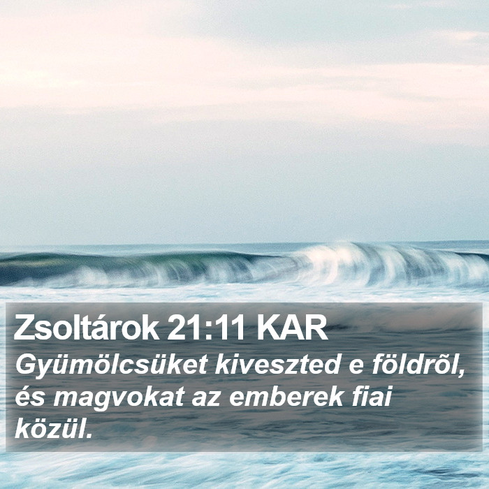 Zsoltárok 21:11 KAR Bible Study