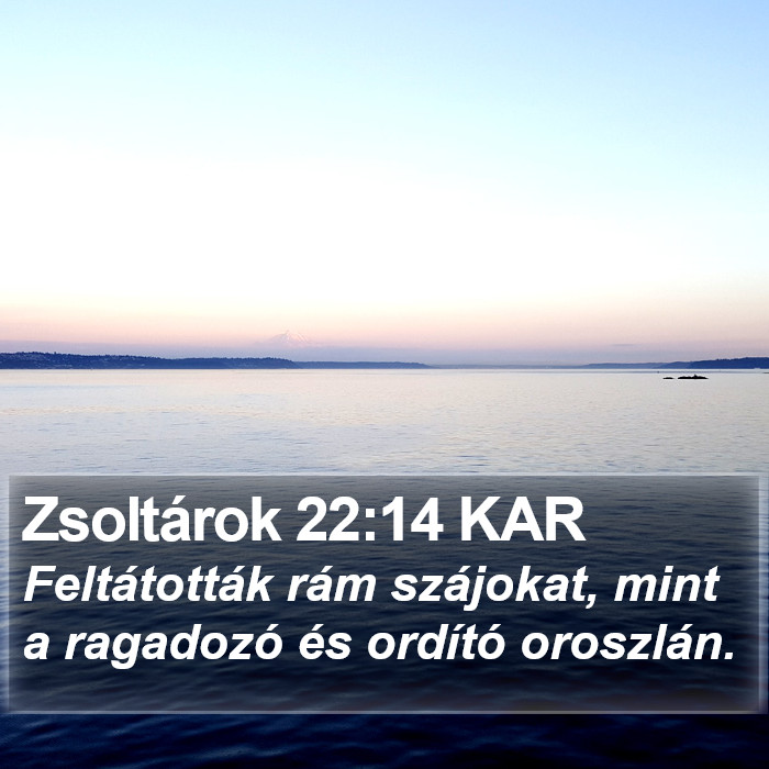 Zsoltárok 22:14 KAR Bible Study