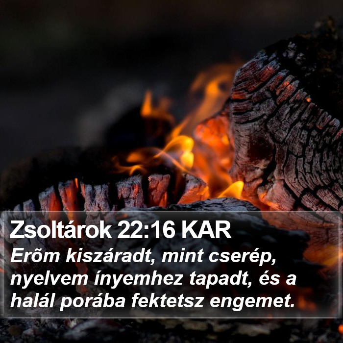 Zsoltárok 22:16 KAR Bible Study