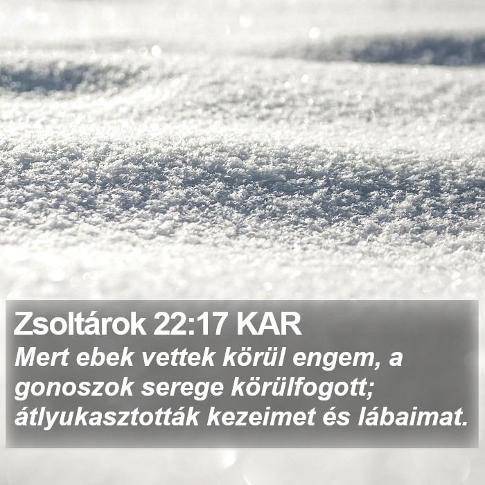 Zsoltárok 22:17 KAR Bible Study