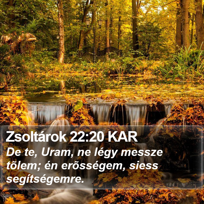 Zsoltárok 22:20 KAR Bible Study