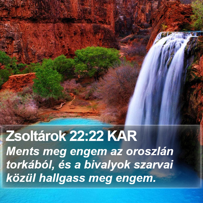 Zsoltárok 22:22 KAR Bible Study