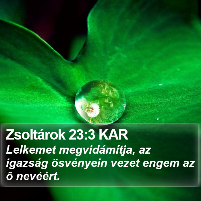 Zsoltárok 23:3 KAR Bible Study