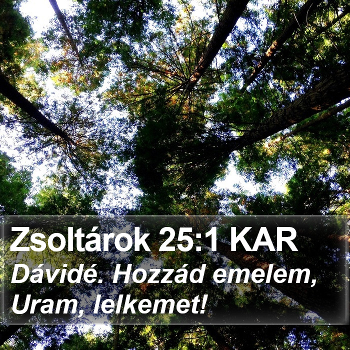 Zsoltárok 25:1 KAR Bible Study