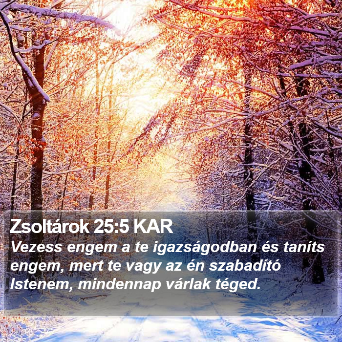 Zsoltárok 25:5 KAR Bible Study