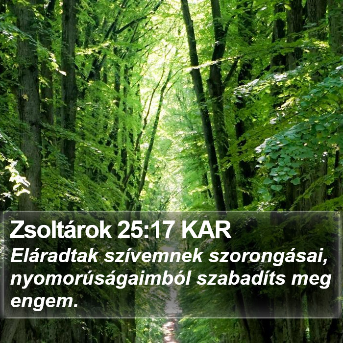 Zsoltárok 25:17 KAR Bible Study